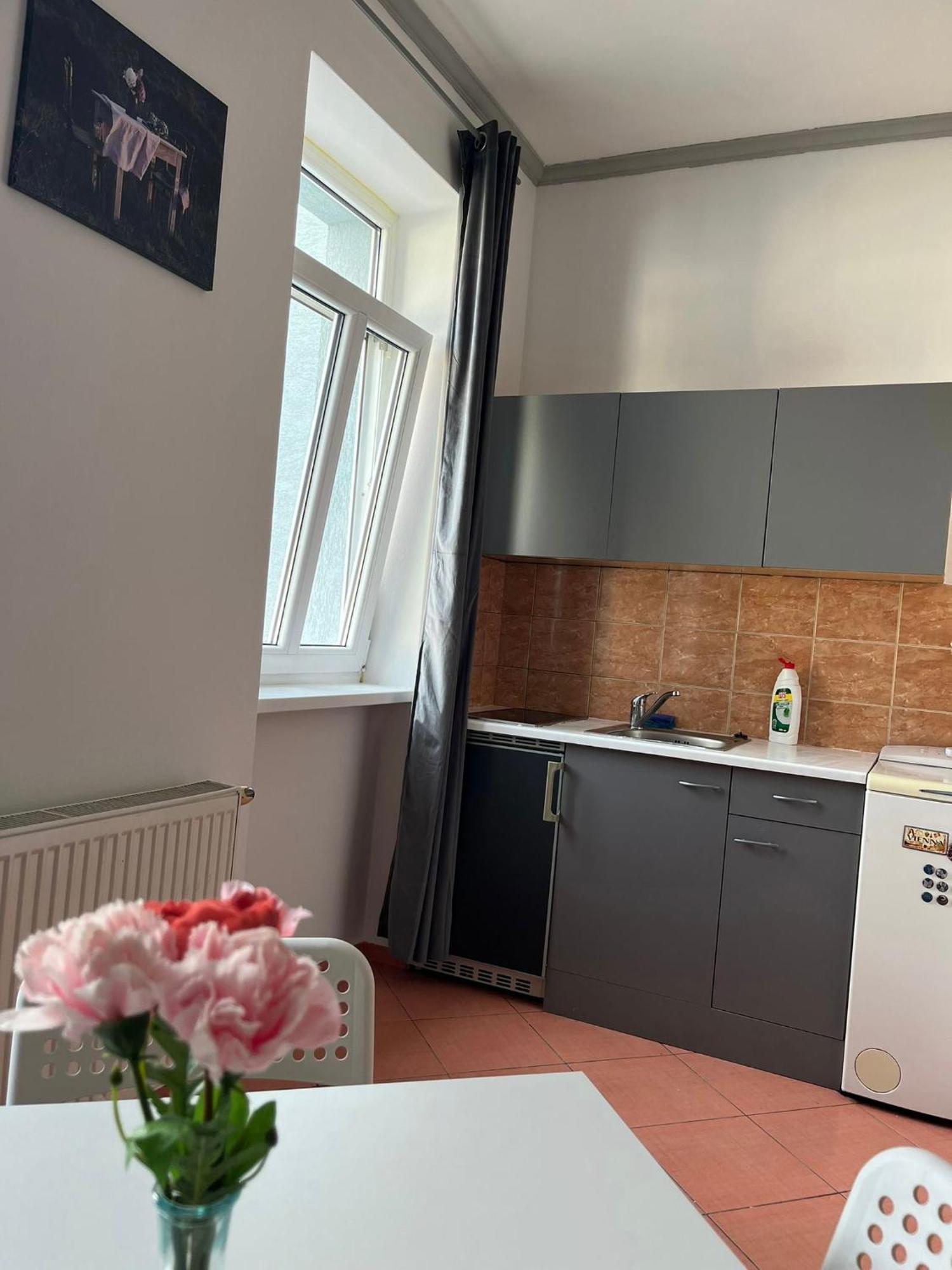 1St Plaza Apartment Pozsony Kültér fotó